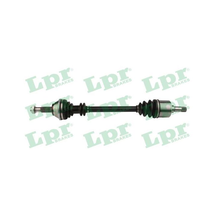 Pusašis LPR DS60272