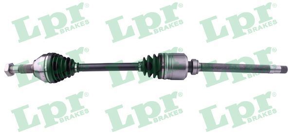 Pusašis LPR DS60279