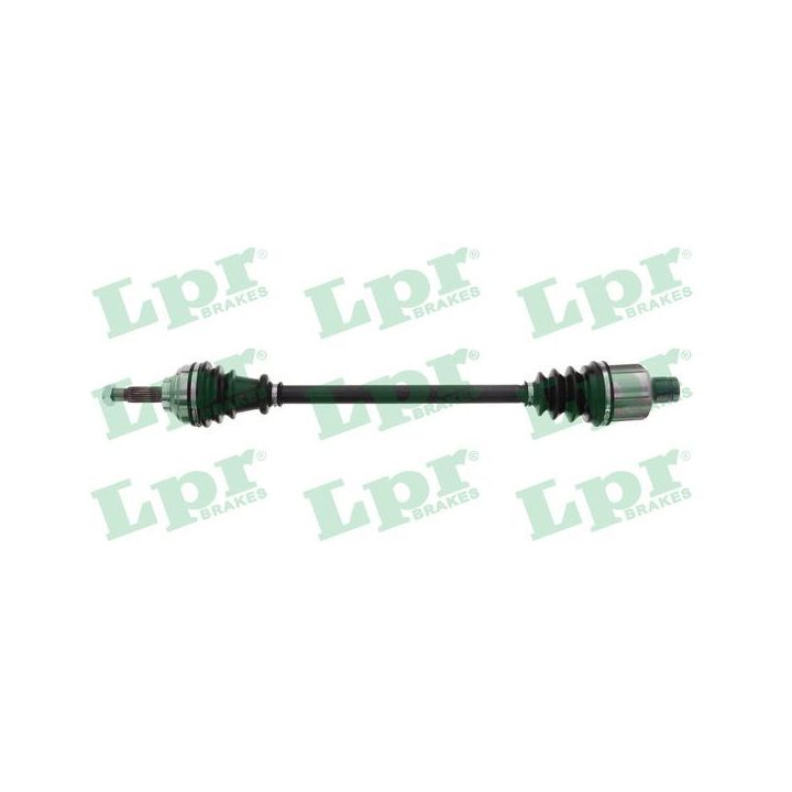 Pusašis LPR DS60293