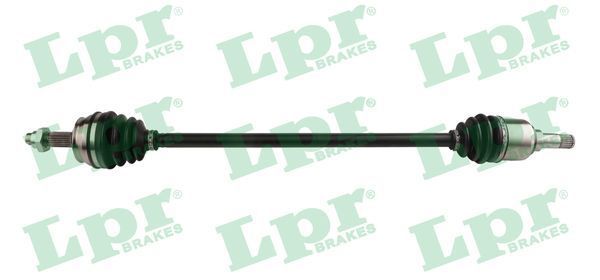 Pusašis LPR DS60308