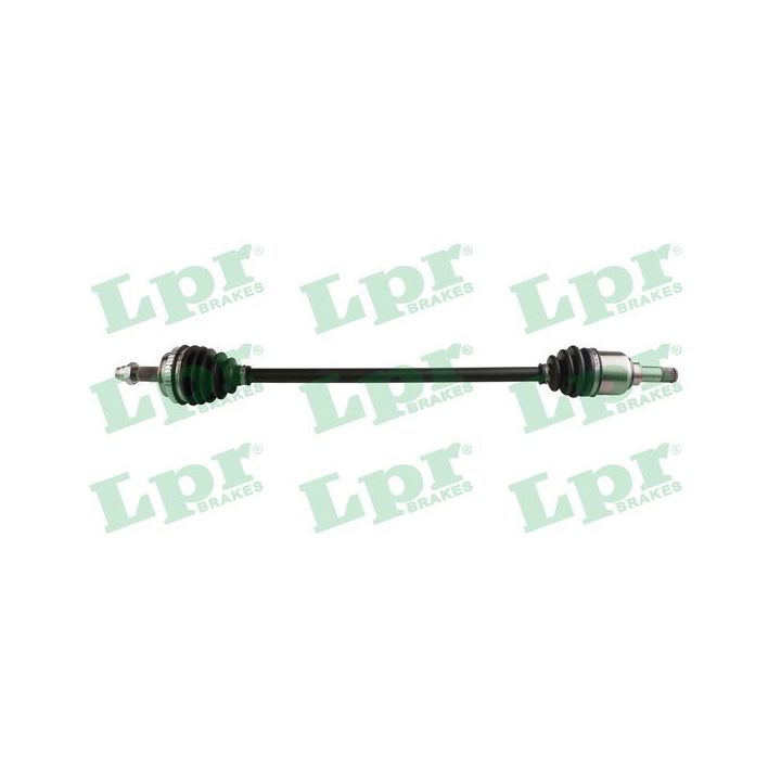 Pusašis LPR DS60310