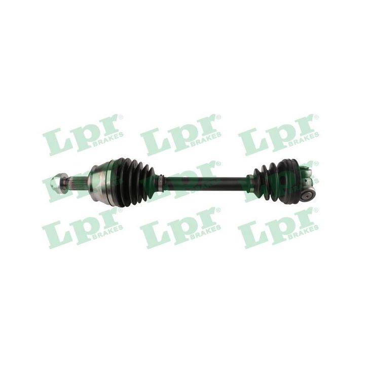 Pusašis LPR DS60317