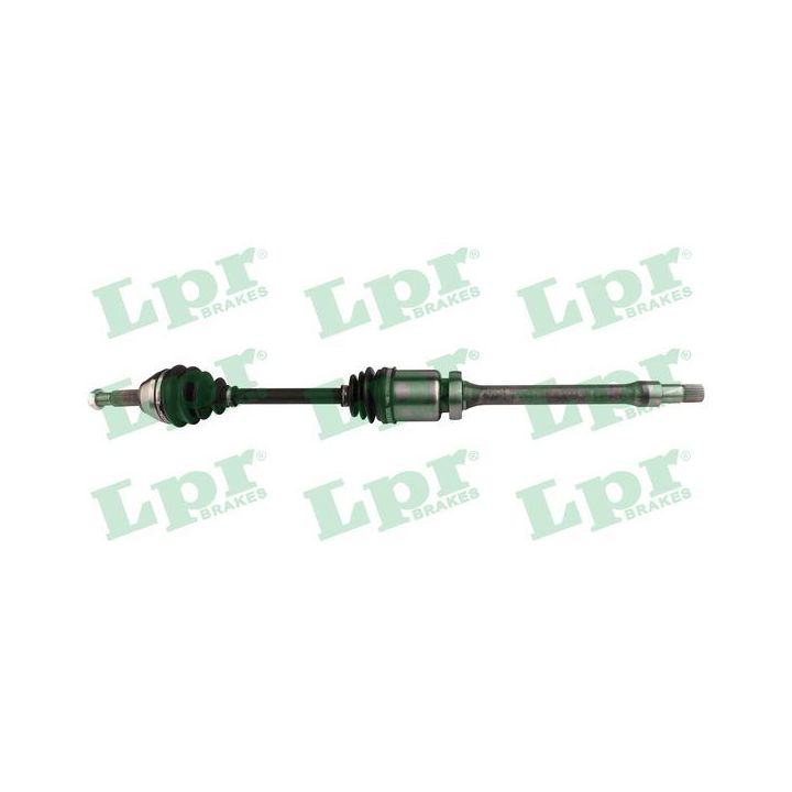 Pusašis LPR DS60359