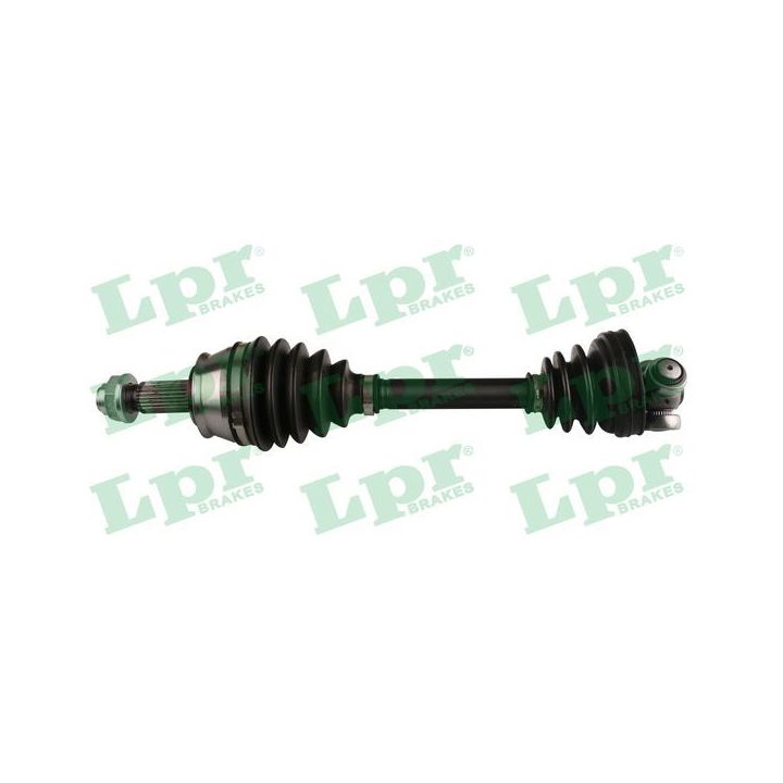 Pusašis LPR DS60393