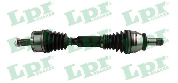 Pusašis LPR DS60395