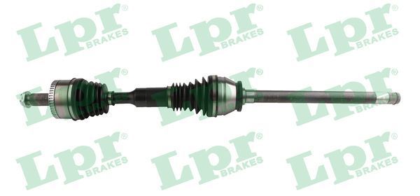 Pusašis LPR DS60396