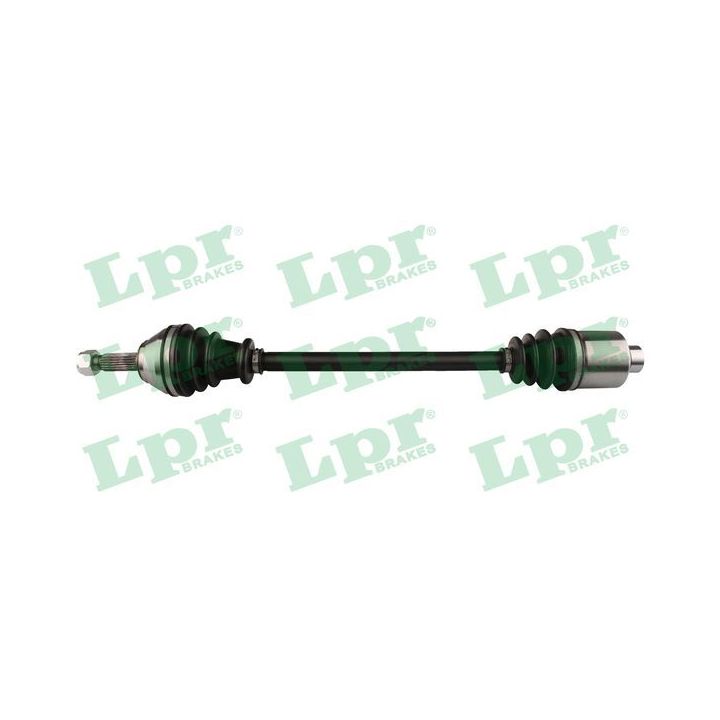 Pusašis LPR DS60675