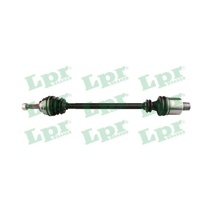 Pusašis LPR DS60730