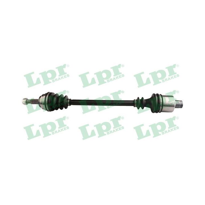 Pusašis LPR DS60733