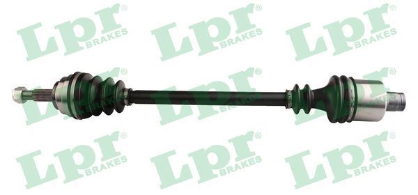 Pusašis LPR DS60733