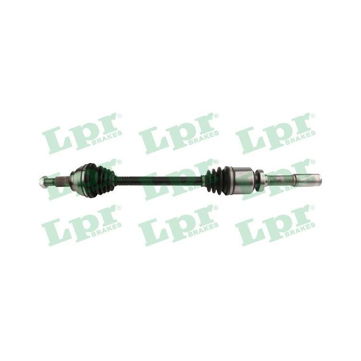 Pusašis LPR DS60741