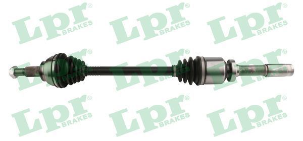 Pusašis LPR DS60741