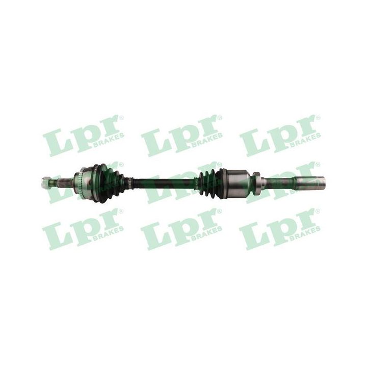 Pusašis LPR DS60763