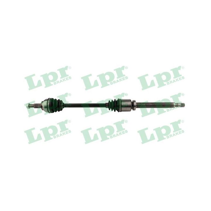 Pusašis LPR DS60781