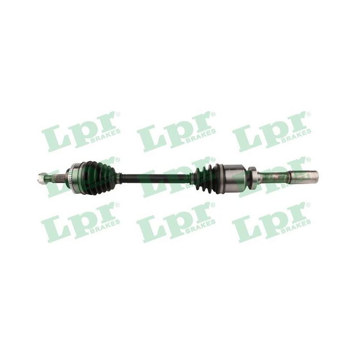 Pusašis LPR DS60800