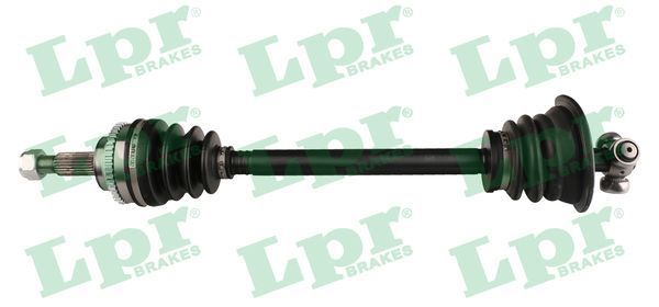 Pusašis LPR DS60811