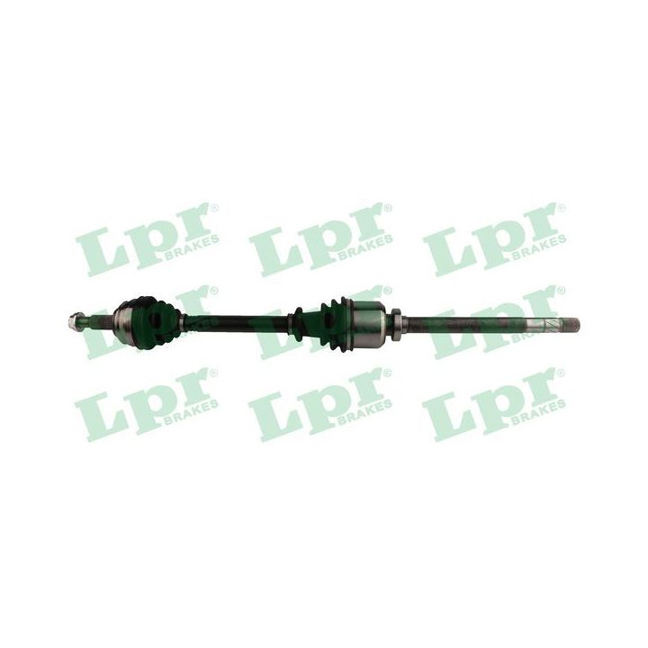 Pusašis LPR DS60812