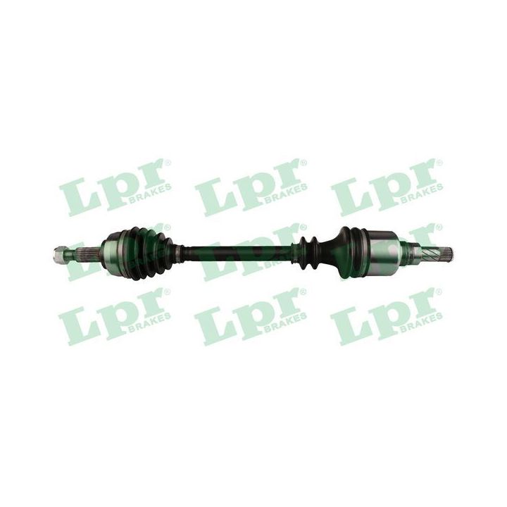 Pusašis LPR DS60813