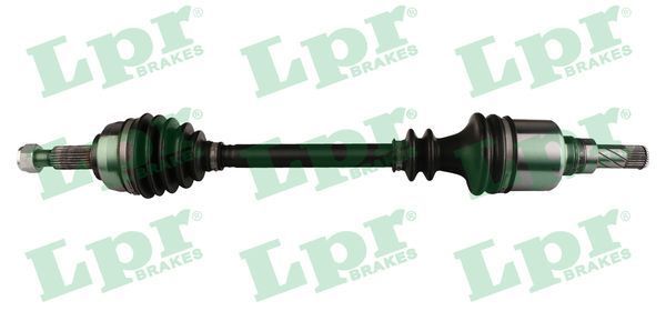 Pusašis LPR DS60813