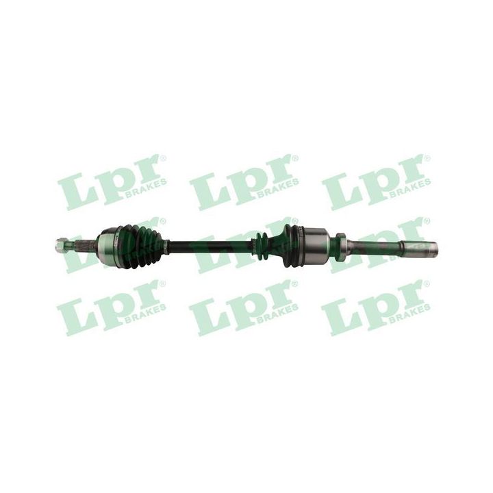 Pusašis LPR DS60817