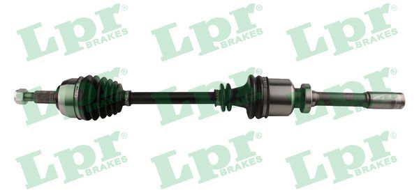 Pusašis LPR DS60817