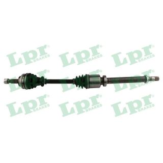 Pusašis LPR DS60818