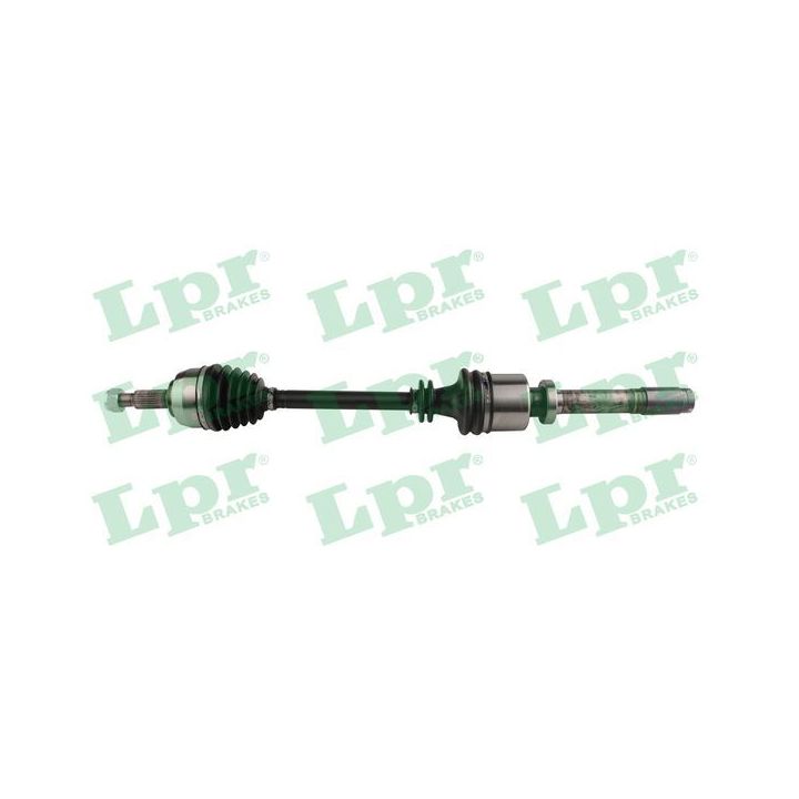 Pusašis LPR DS60820