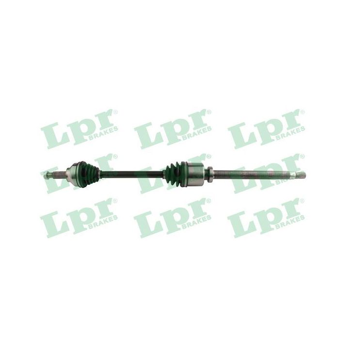 Pusašis LPR DS60821