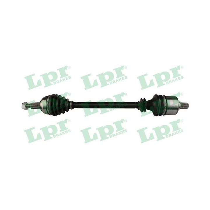 Pusašis LPR DS60831