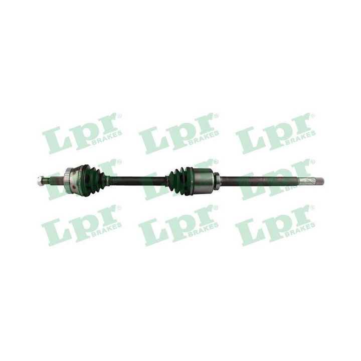 Pusašis LPR DS60842