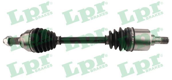 Pusašis LPR DS60851