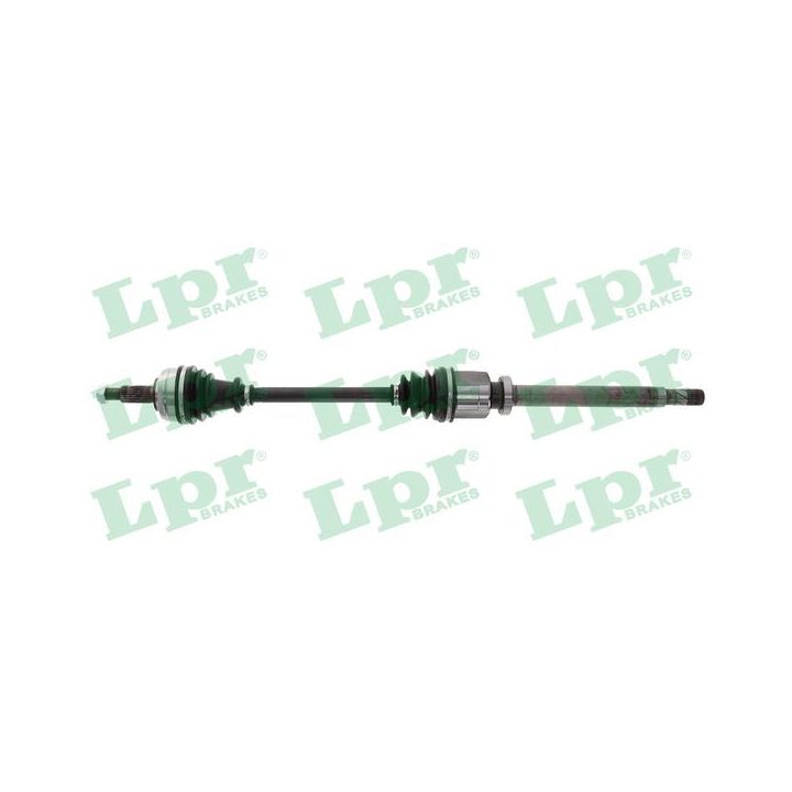 Pusašis LPR DS60987