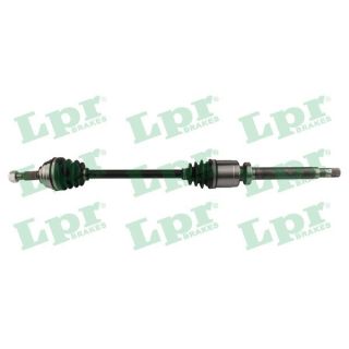 Pusašis LPR DS60993