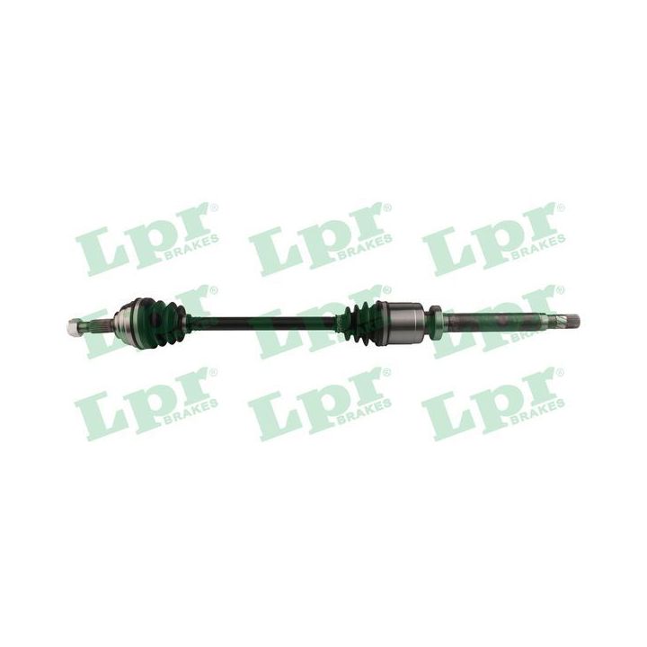 Pusašis LPR DS60993