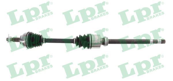 Pusašis LPR DS61022