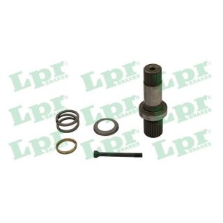 Pusašis LPR DS61196