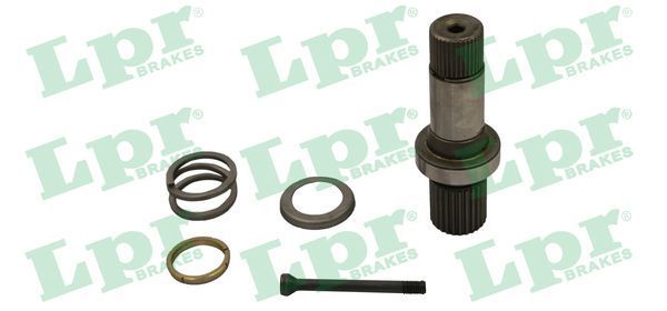 Pusašis LPR DS61196