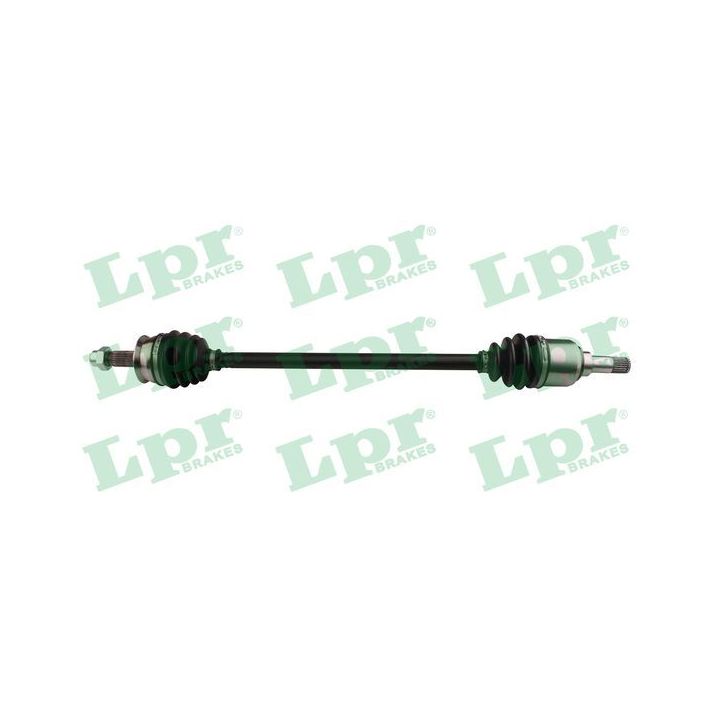 Pusašis LPR DS61200