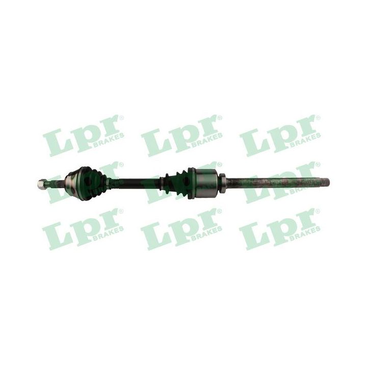 Pusašis LPR DS61204