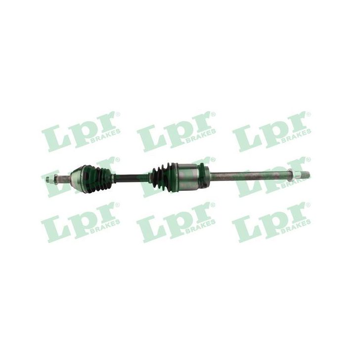 Pusašis LPR DS61213