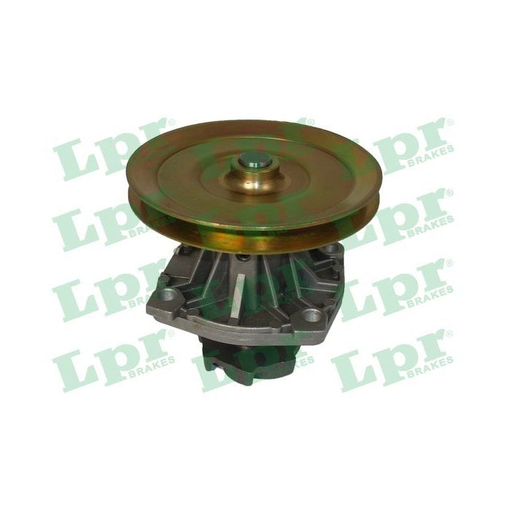 Vandens siurblys, variklio aušinimas LPR WP0044