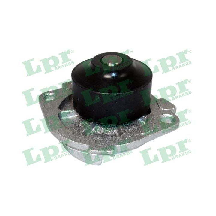 Vandens siurblys, variklio aušinimas LPR WP0431