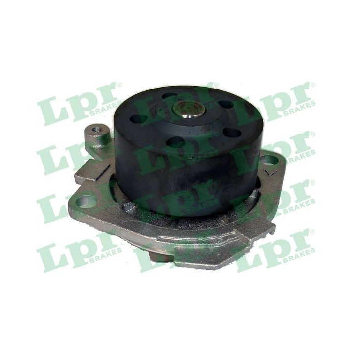 Vandens siurblys, variklio aušinimas LPR WP0461