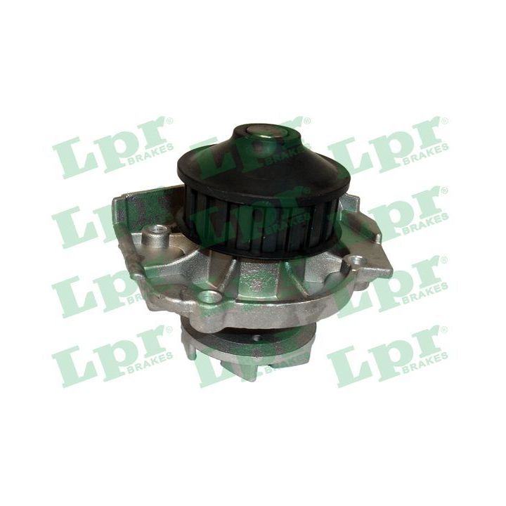 Vandens siurblys, variklio aušinimas LPR WP0699