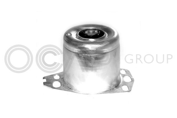 Variklio montavimas OCAP 1225001