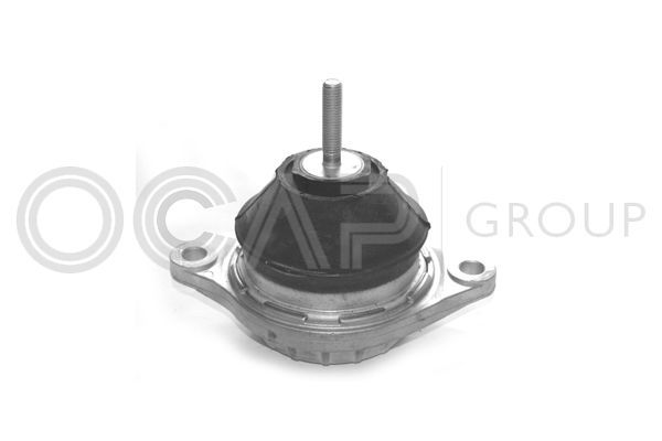 Variklio montavimas OCAP 1225019