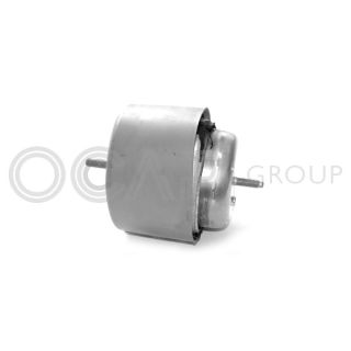 Variklio montavimas OCAP 1225078