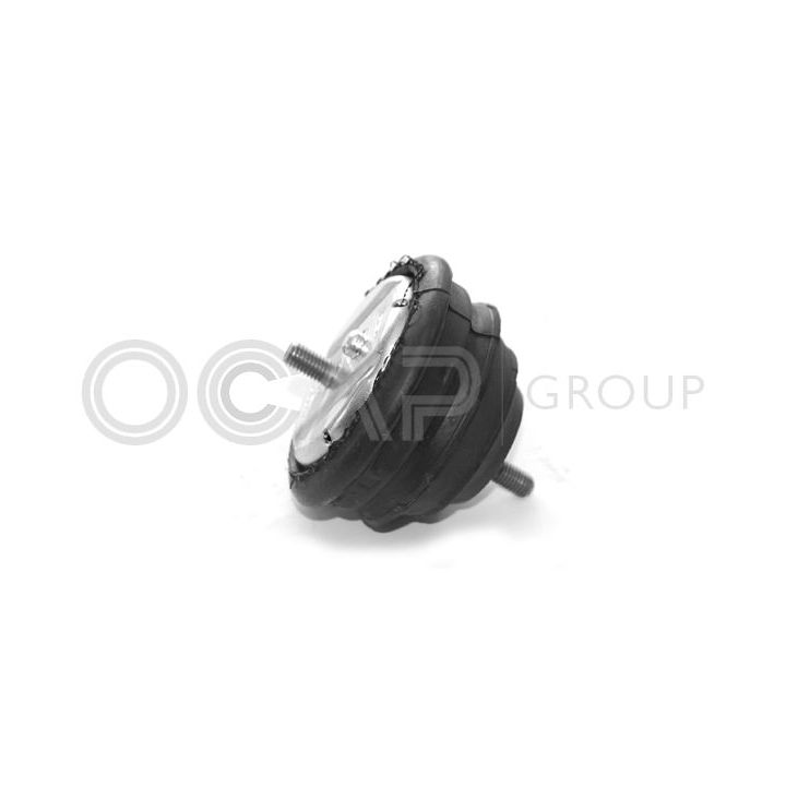 Variklio montavimas OCAP 1225117