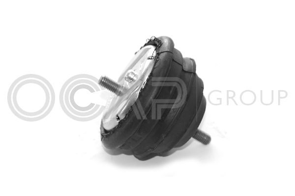 Variklio montavimas OCAP 1225117