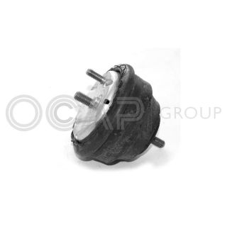 Variklio montavimas OCAP 1225119